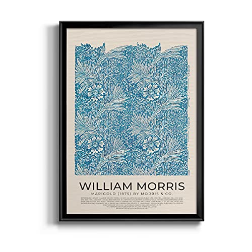 Blue marigold illustration