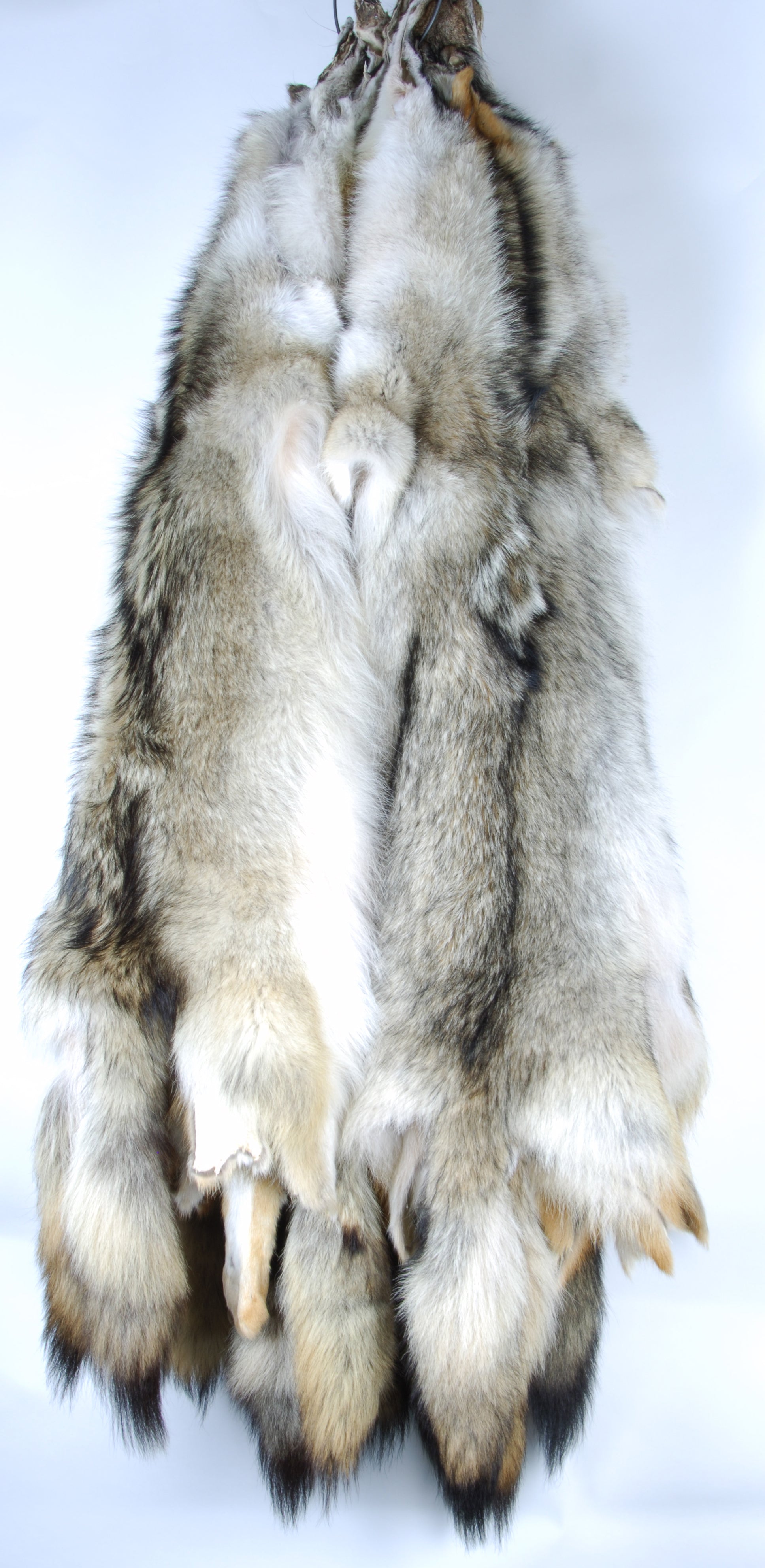 Premium Giant Coyote Fur Skin Rug - 2XL Size - Soft & Luxurious for Home Decor, Cabin, or Lodge - Perfect for Living Room, Bedroom, or Wall Display