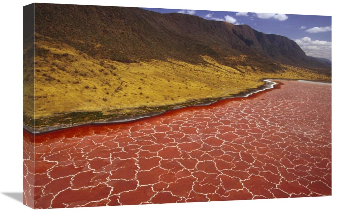 16x24 Inch Lake Natron Tanzania Soda Formations Art Print by Gerry Ellis - Stunning East Africa Landscape Wall Decor for Living Room, Office & Bedroom