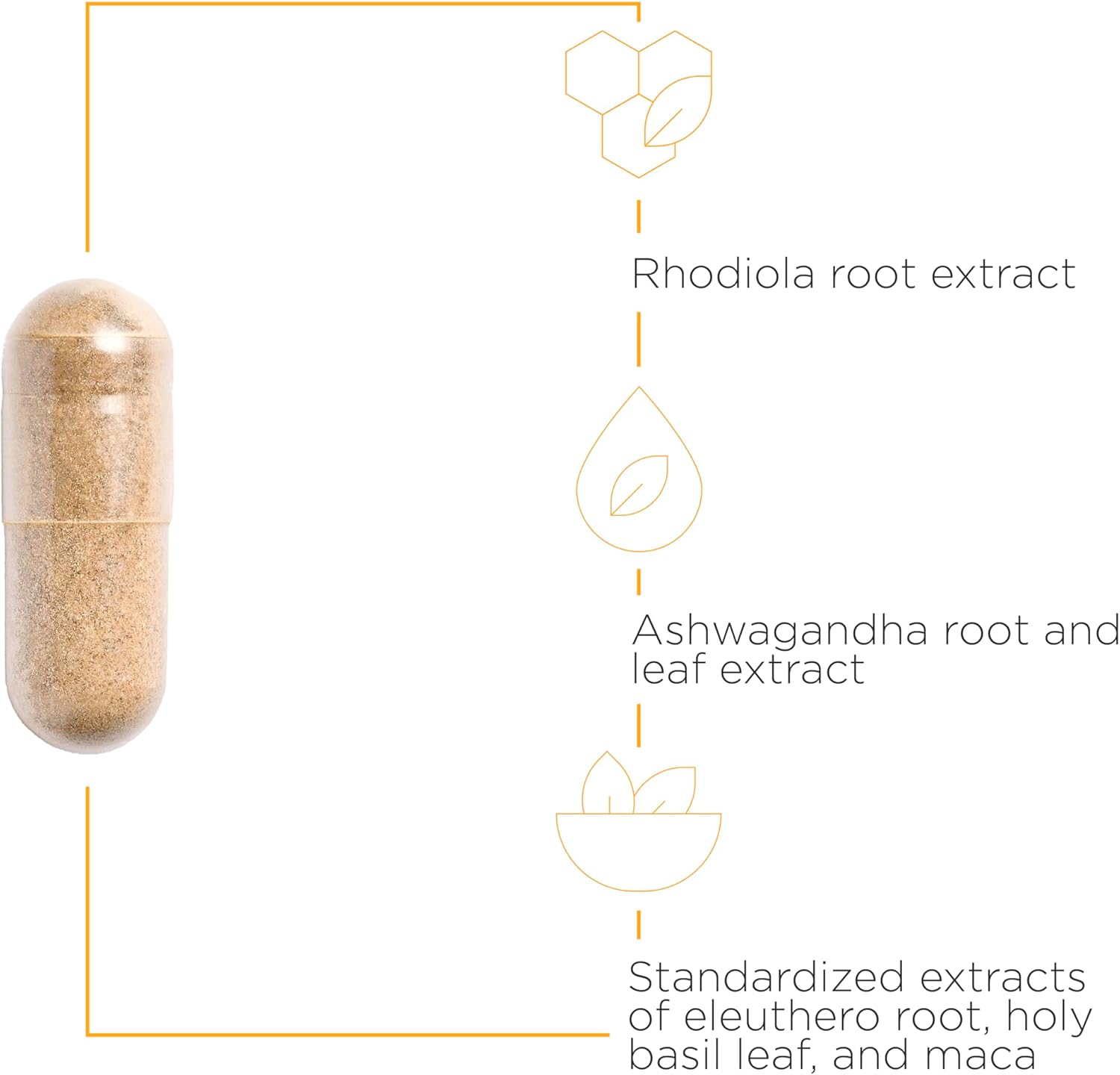 Integrative Therapeutics HPA Adapt™ - Adrenal Support Supplement for Stress Relief & Energy Balance - Supports Healthy Cortisol Levels for Work, Travel & Daily Stress Management