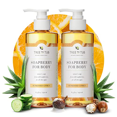 Tree To Tub Citrus Body Wash for Dry & Sensitive Skin - pH Balanced Moisturizing Body Wash with Organic Shea Butter & Aloe Vera | Sulfate-Free Hydrating Body Soap for Women & Men | Perfect for Daily Shower & Sensitive Skin Care Routine