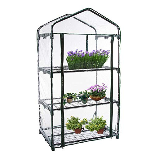 CHAW Walk-in Plant Greenhouse for Outdoor Flowers & Garden Accessories - Durable PVC Cover Garden Shed | Perfect for Growing Plants, Seedlings & Protecting Flowers in All Seasons