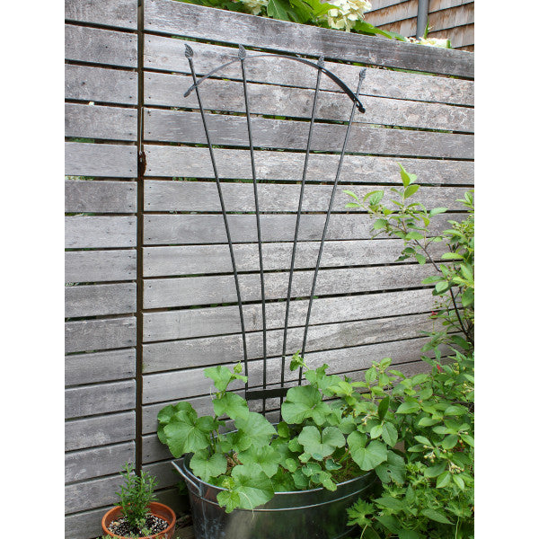 56 Inch Garden Trellis for Climbing Plants - Rustic Metal Fan Trellis for Outdoor Vine Support, Wall Decor & Backyard Landscaping - Perfect for Roses, Ivy & Flowering Vines