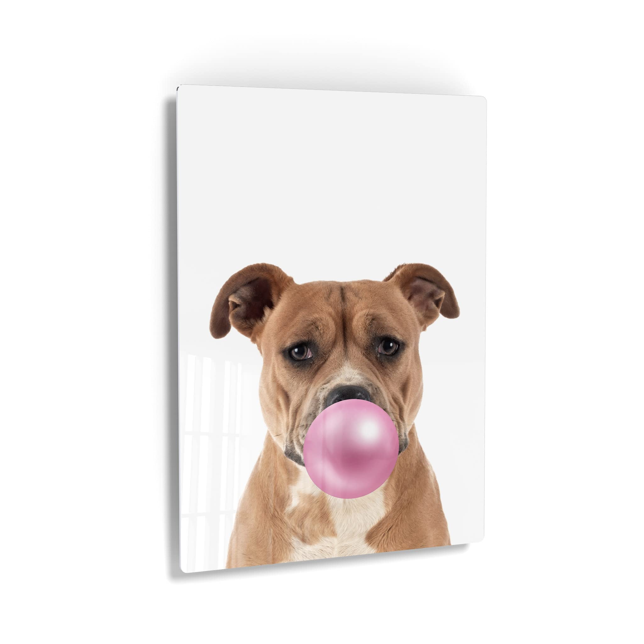 Staffordshire Bull Terrier Chewing Pink Bubble Gum Metal Wall Art Print - 36x24 - Pet Lover Gift, Dog Pop Art Decor for Office, Living Room, Bedroom, Nursery & Kids Room - Unique Animal Themed Home Decor for Dog Owners & Animal Enthusiasts