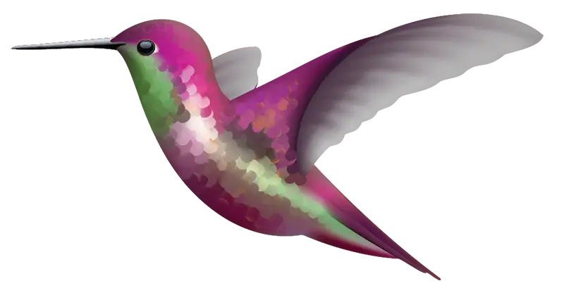 Beautiful Hummingbird Decals - Vibrant Waterproof Vinyl Stickers for Laptops, Phones, Cars & DIY Crafts - Perfect for Home Decor, Scrapbooking & Gift Giving