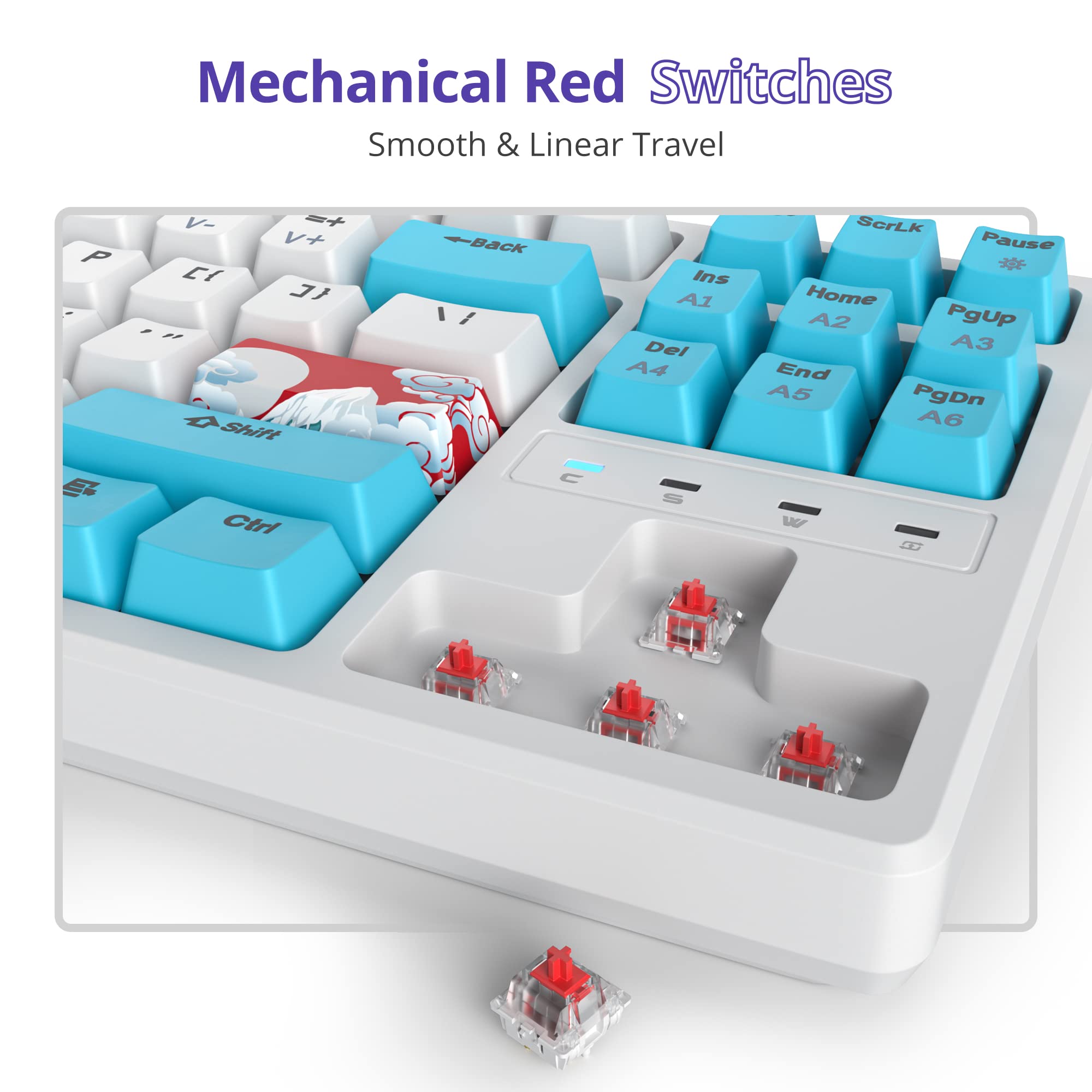 SOLIDEE 87-Key RGB Mechanical Gaming Keyboard - Compact, Portable for PC/Mac - Perfect for Office & Gaming