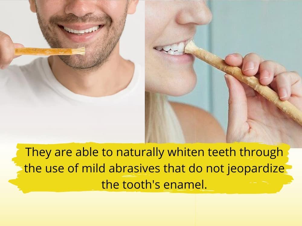 Natural Miswak Chewing Sticks for Teeth Whitening - 15 Pack | Organic Peelu Toothbrush for Oral Hygiene | Perfect for Travel, Camping & Daily Dental Care