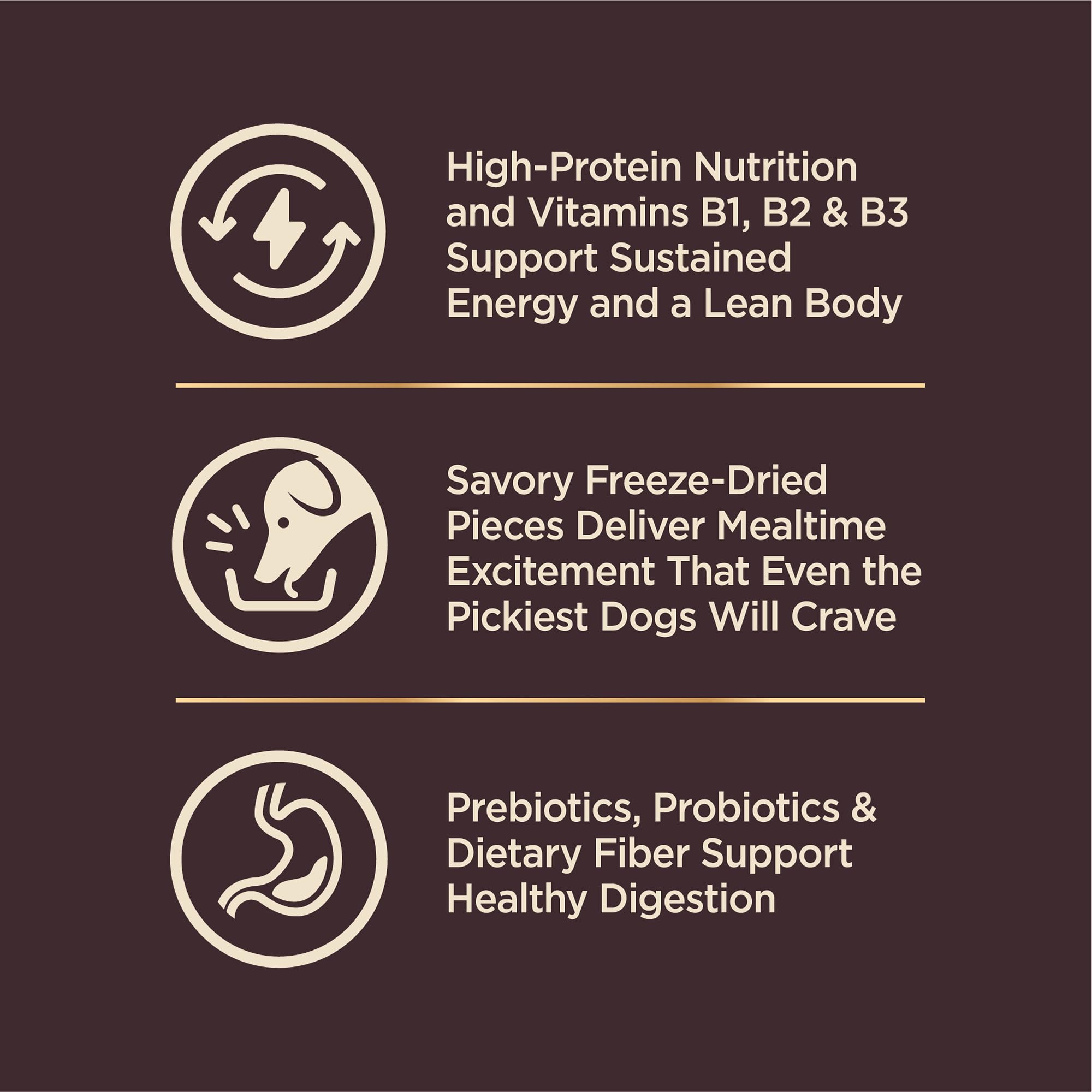 Wellness CORE+ Small Breed Dry Dog Food with Freeze-Dried Turkey & Chicken - High Protein, Natural Recipe with Wholesome Grains - 4lb Bag for Active Small Dogs - Perfect for Daily Meals, Training Treats & On-the-Go Nutrition