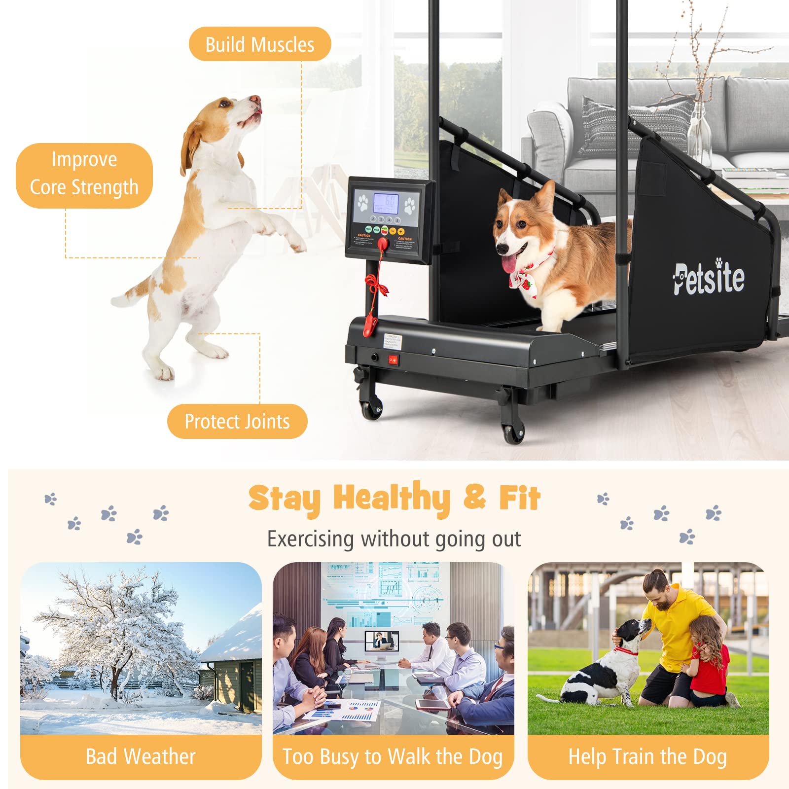 PETSITE Dog Treadmill for Small & Medium Dogs - Pet Exercise Running Machine with LCD Display, Supports Up to 220 lbs - Indoor Dog Fitness Equipment for Home Training & Weight Management
