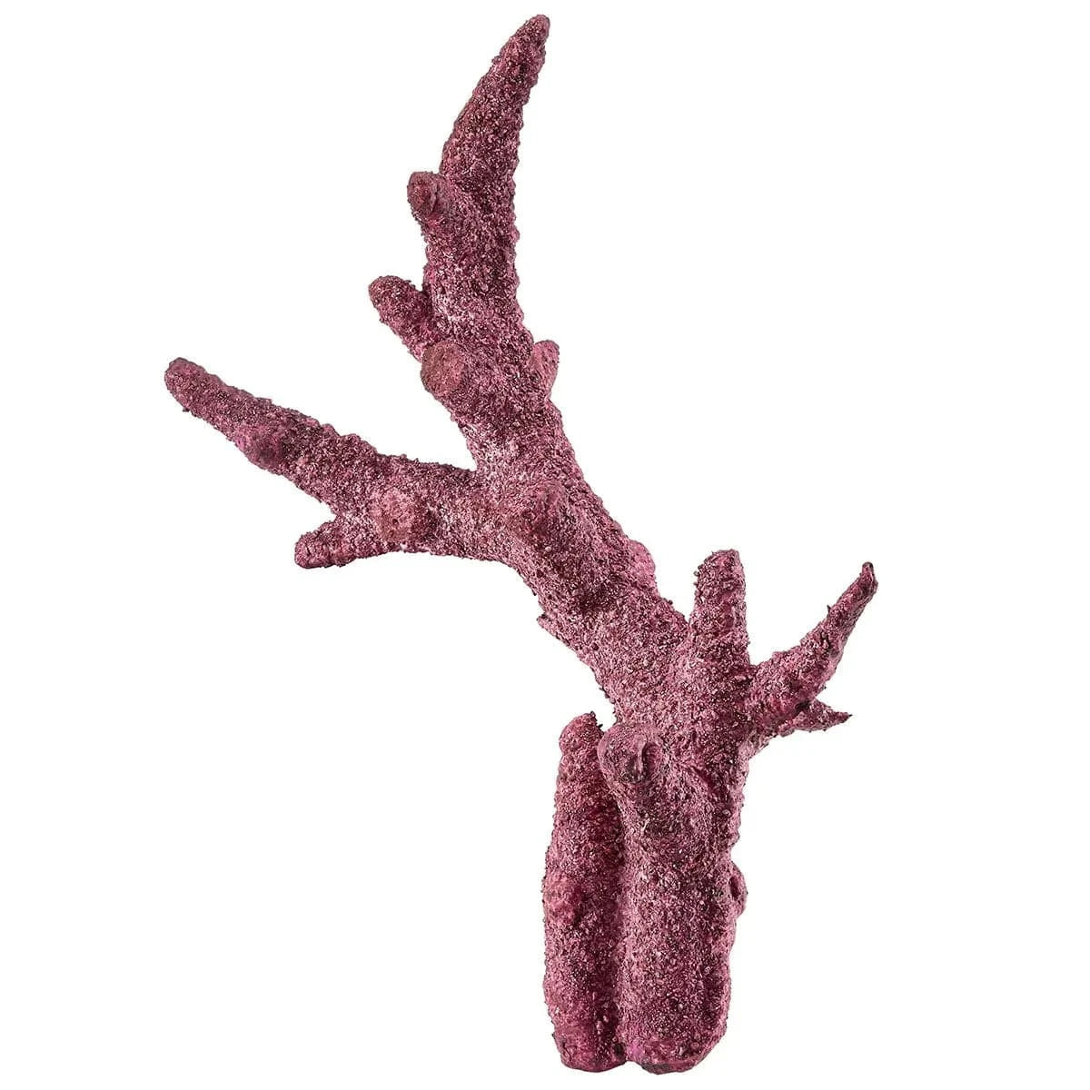 Premium Real Reef Branch Rock - 30 lbs Box for Saltwater Aquariums | Natural Coral Decor for Marine Tanks, Fish Habitats & Reef Aquascaping