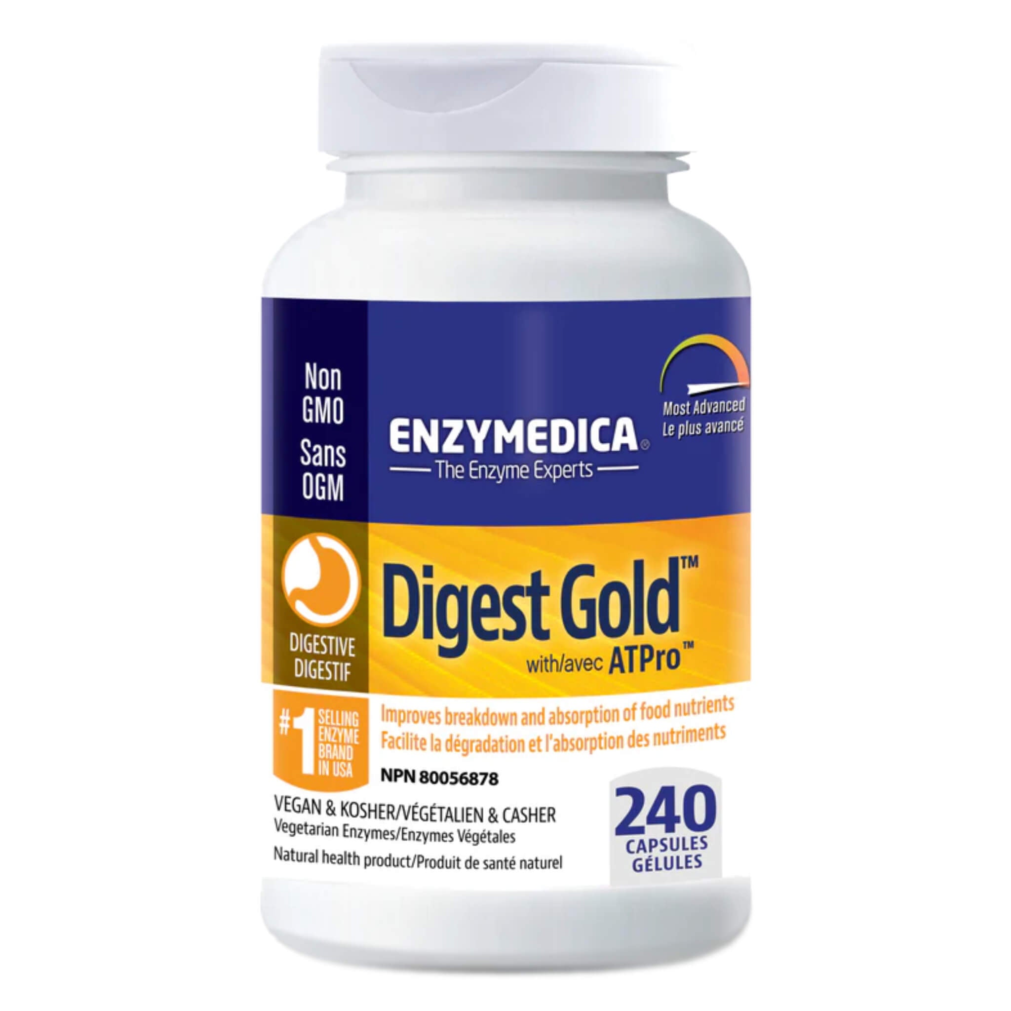 Digest Gold - Premium Digestive Enzyme Supplement for Gut Health & Digestion Support - Ideal for Bloating, Gas Relief & Nutrient Absorption - Use Daily for Optimal Digestion After Meals
