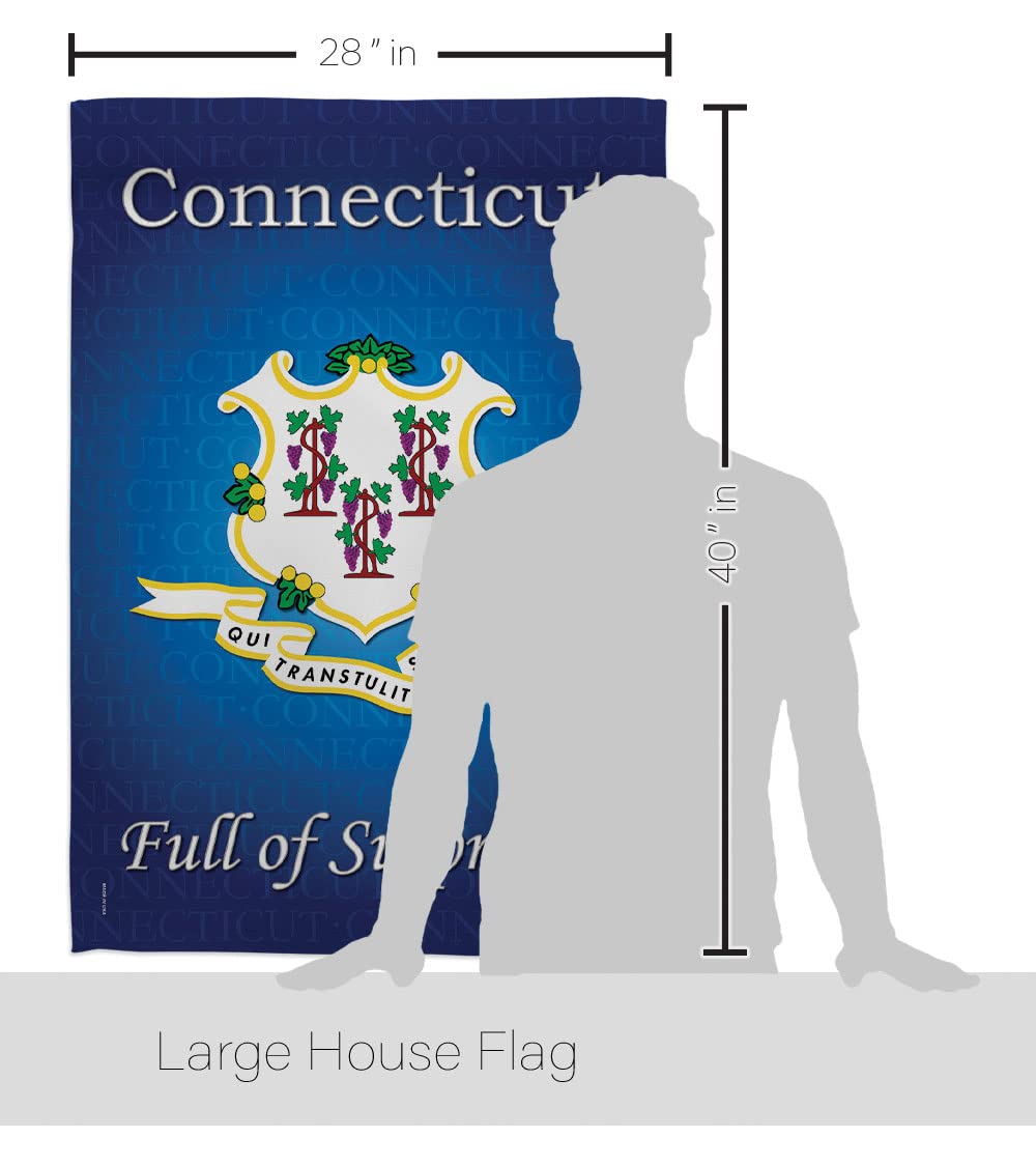 Connecticut Americana House Flag Set 28x40
