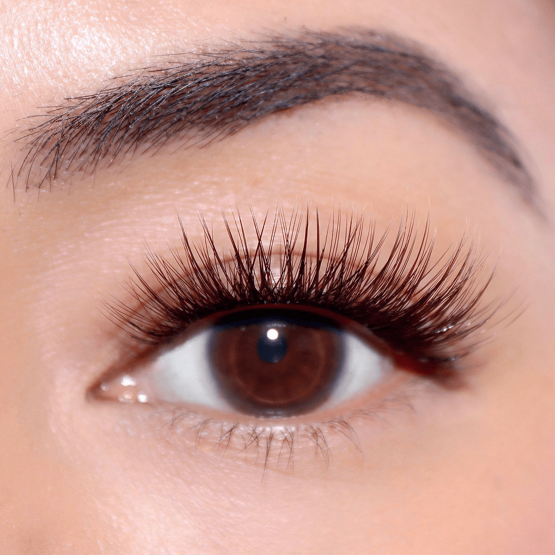 Professional Curated Eyelash Extension Kit - Natural & Dramatic Looks for Every Occasion | Perfect for Bridal, Party & Everyday Wear