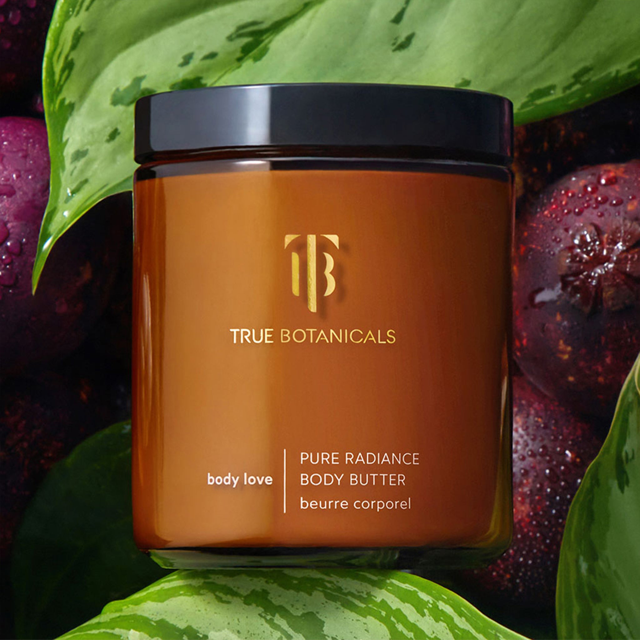 Pure Radiance Body Butter - Ultra Hydrating & Nourishing Moisturizer for Dry Skin | Organic Shea Butter Cream for Women & Men | Perfect for Daily Skincare & Post-Shower Hydration