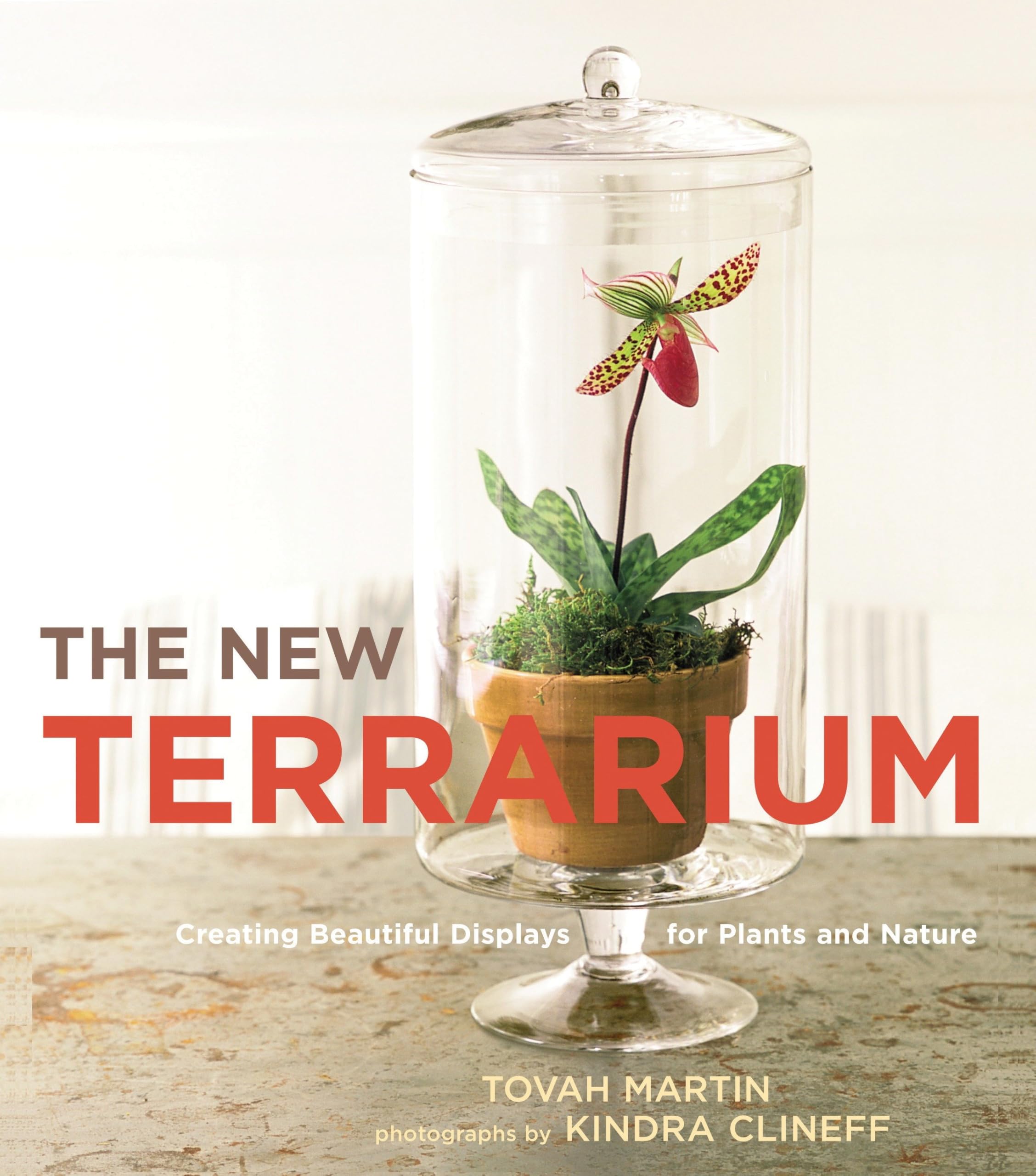 Premium Glass Terrarium Kit for Succulents & Air Plants - DIY Indoor Garden Decor, Perfect for Home, Office & Gift Ideas