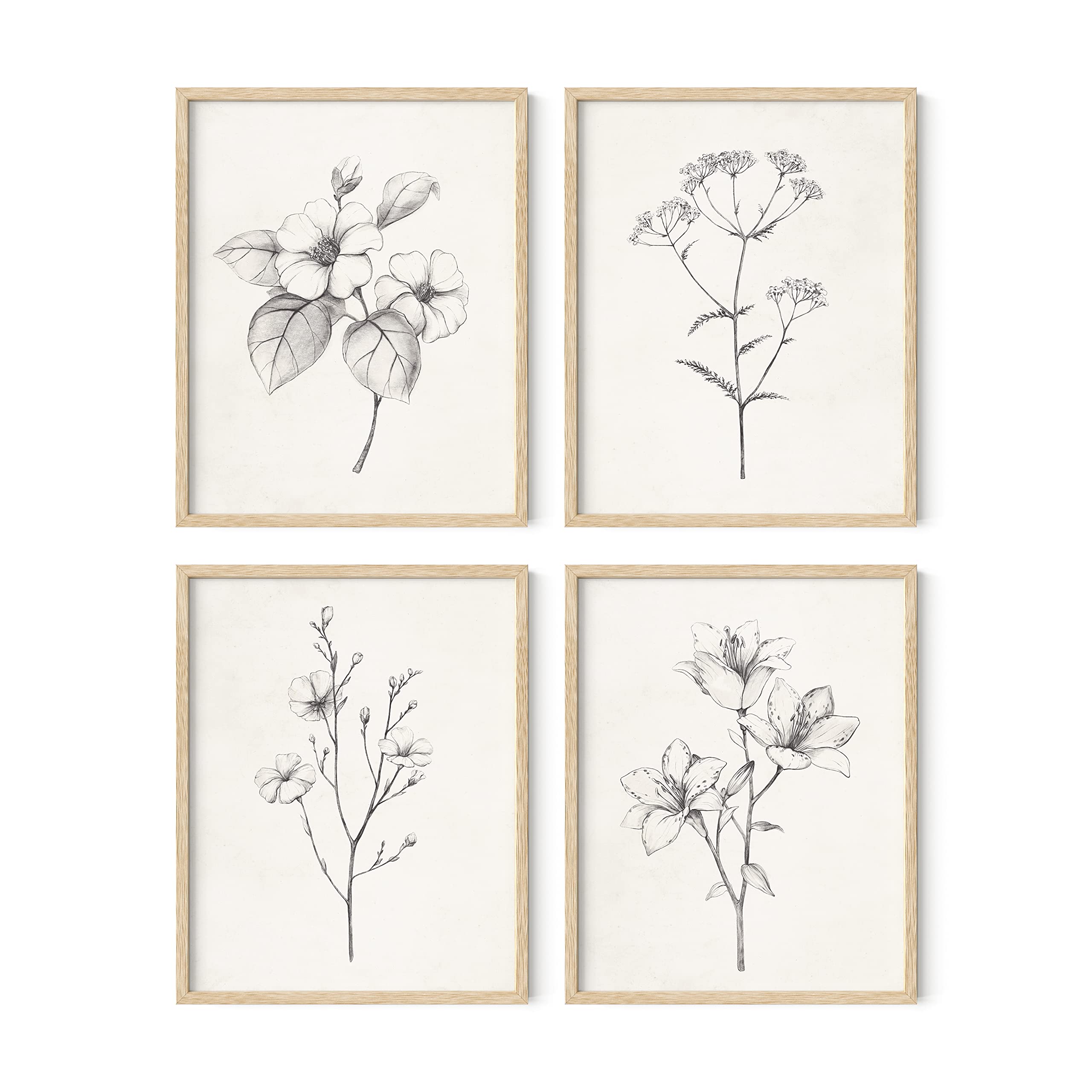 HAUS AND HUES Vintage Botanical Wall Art Set - 4 Grey Floral Prints with Beige Frame (11x14) | Black & White Flower Pictures for Farmhouse Bathroom, Rustic Room Aesthetic & Home Decor