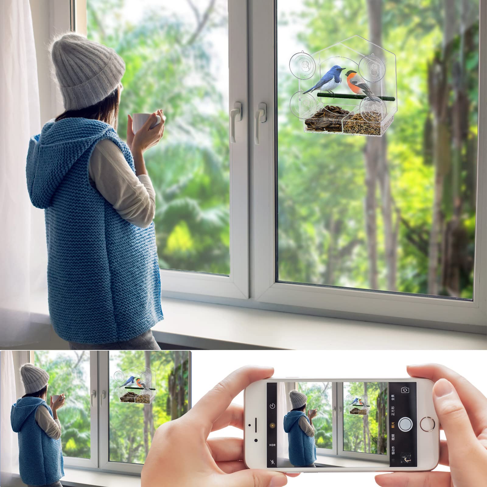 Clear Acrylic Window Bird Feeder with 4 Strong Suction Cups - Removable Drain Hole Tray, Easy to Install & Clean - Perfect for Backyard Bird Watching & Nature Lovers