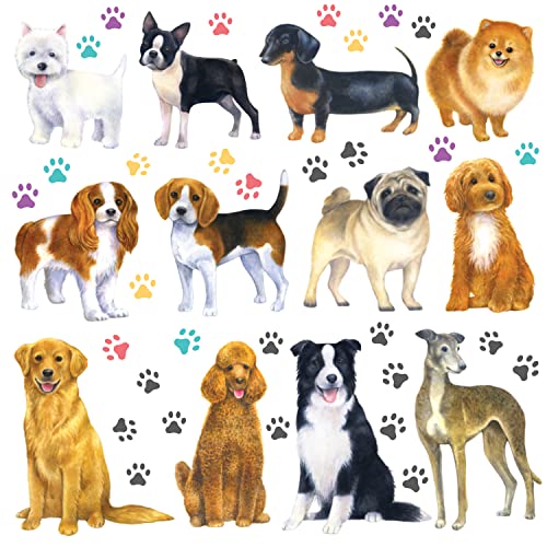 Dogs