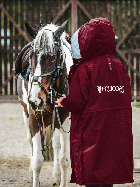 EquiCoat Pro - Premium Horse Coat Conditioner & Shine Enhancer for Show & Competition - Grooming & Care for Healthy, Glossy Coats