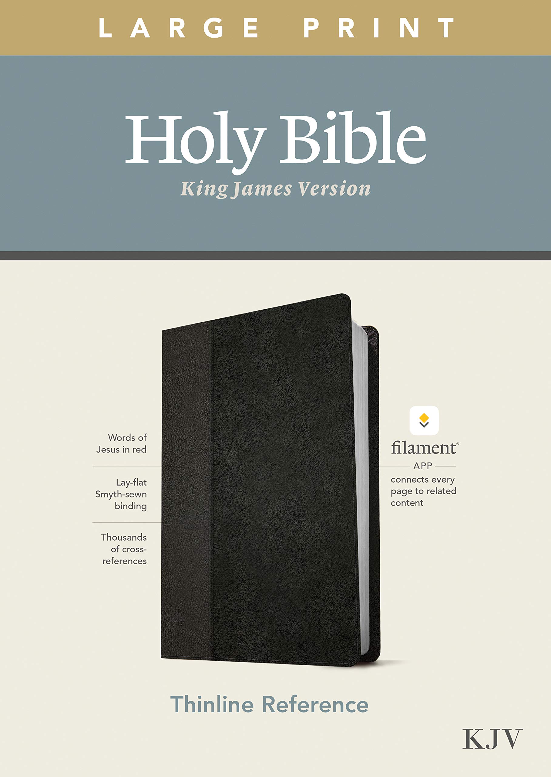 KJV Large Print Thinline Bible - LeatherLike Black/Onyx - Red Letter Edition for Daily Devotion & Study