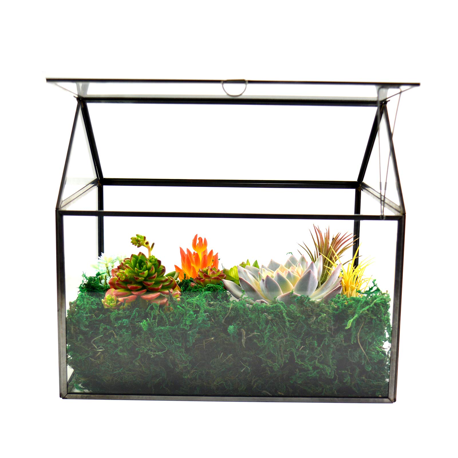 Large Glass Plant Terrarium for Succulents - 12.26x9.15x10.9 Inch Black Greenhouse Terrarium Kit with Lip | Perfect for Home Decor, Office Plants & Indoor Gardening Gifts
