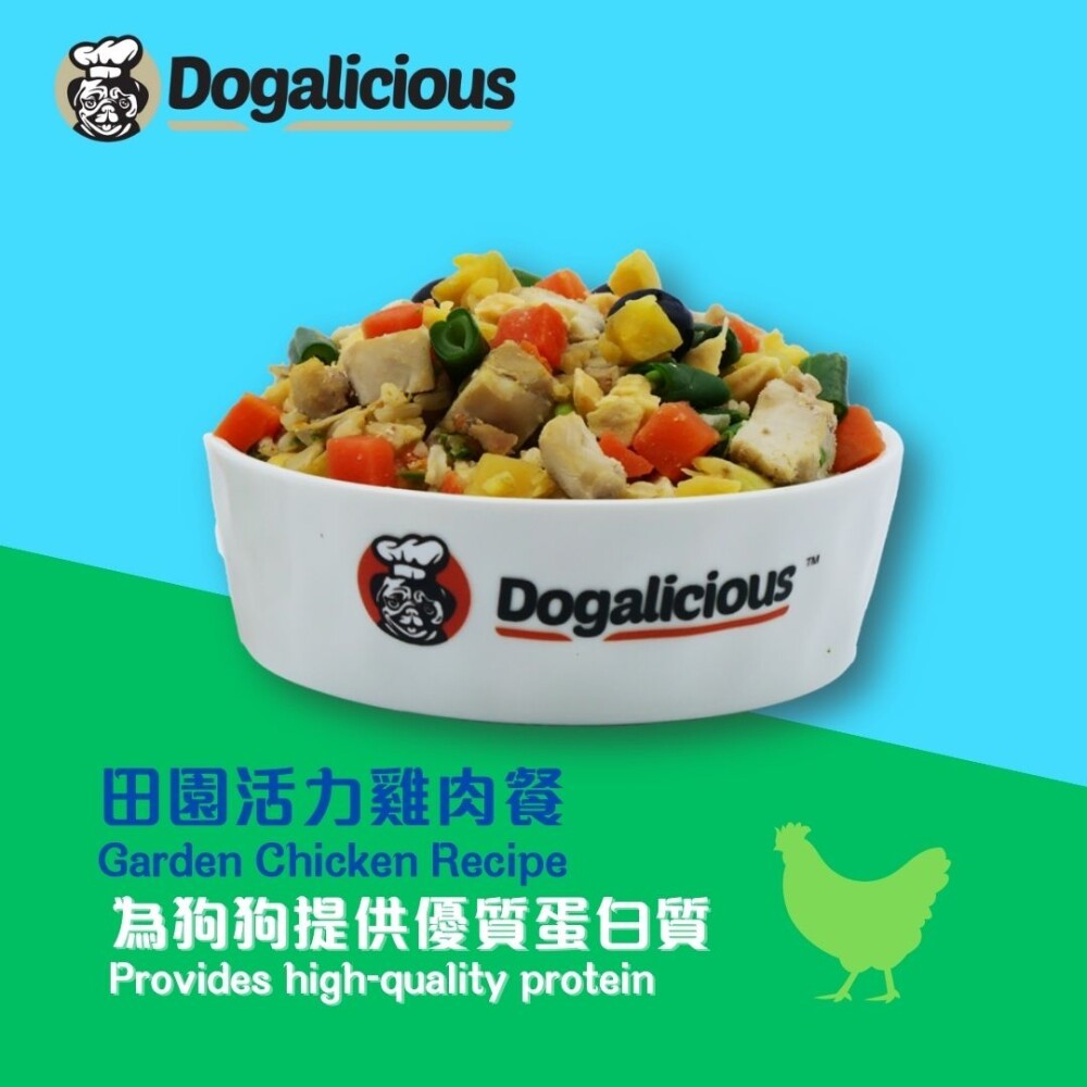 Dogalicious Frozen Fresh Made Garden Chicken Recipe Dog Food - Premium Grain-Free Meal for Healthy Dogs - Perfect for Puppies, Adults & Seniors - Ideal for Daily Feeding & Special Occasions