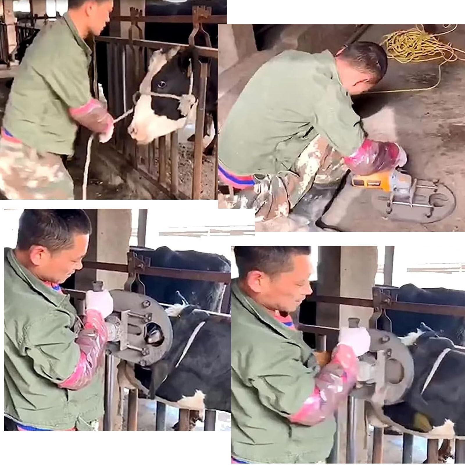 Electric Cattle Dehorner 110V/220V 1900W - Professional Livestock Dehorning Tool for Goats, Sheep & Cattle - Safe & Efficient Horn Removal for Farm & Ranch Use