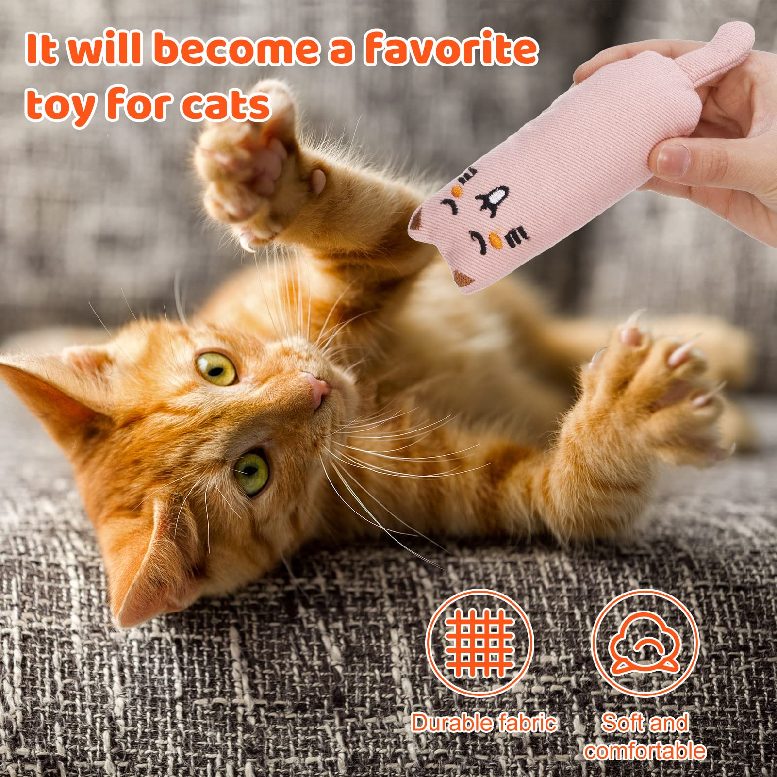 5PCS Catnip Chew Toys for Kittens - Natural Cat Pillow Toys with Catnip, Cartoon Teething Chew Toys for Small Cats | Perfect for Playtime, Training & Dental Health