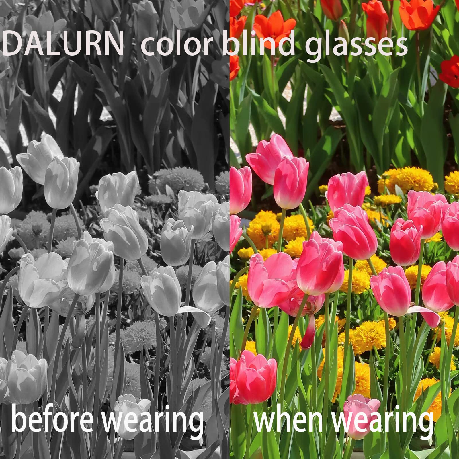Color Blindness Corrective Glasses for Men - Enhance Color Vision for Outdoor Activities & Sports