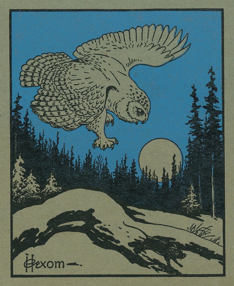 Vintage Owl Hunting Mouse Moonlight Metal Art Print - 24x36 Gallery Quality Aluminum Wall Decor for Living Room, Office & Man Cave