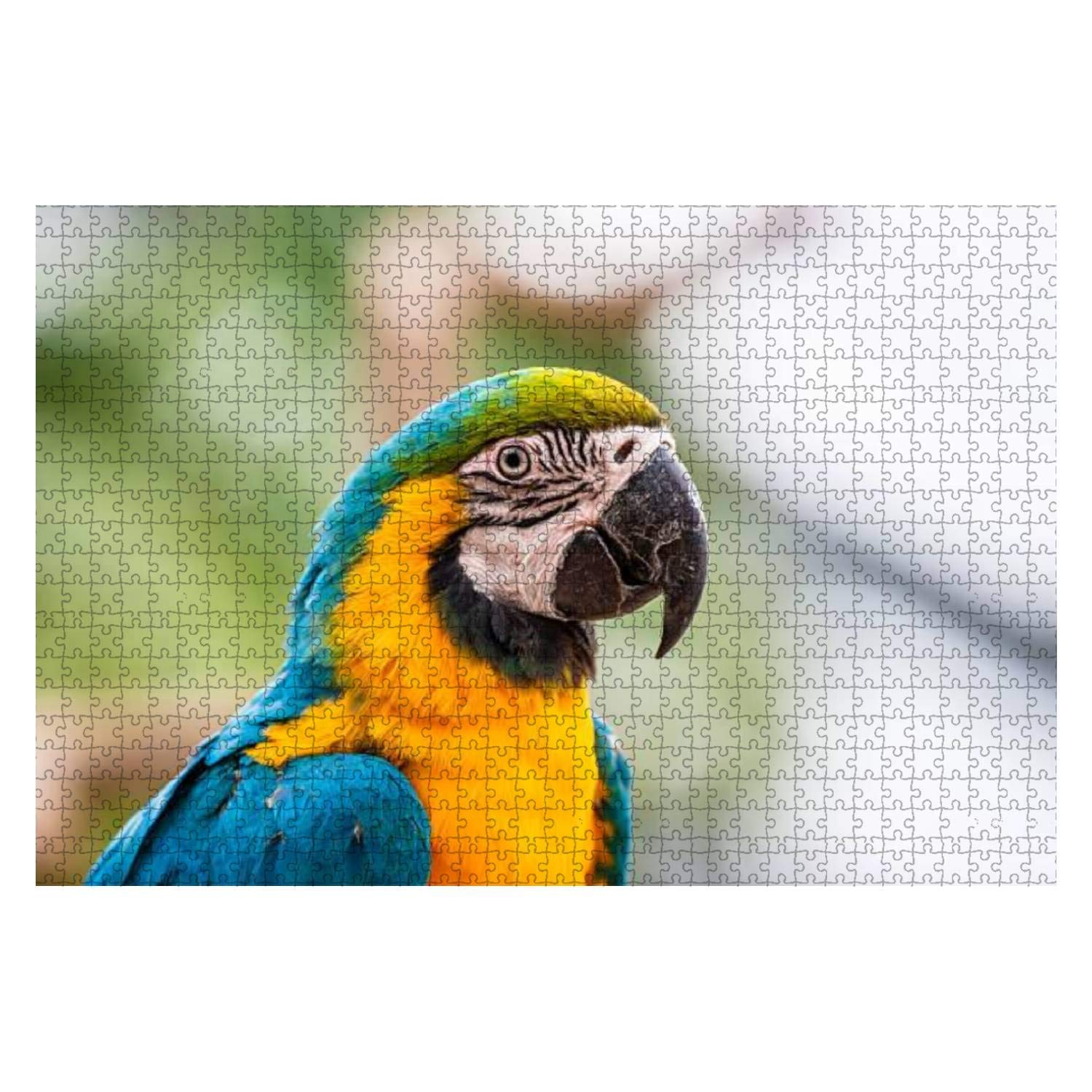 1000-Piece Colorful Jungle Parrot Jigsaw Puzzle for Adults & Kids - Educational Wooden Puzzle Toy, Creative Game & Home Decor - Perfect for Family Bonding, Brain Training & Room Decoration