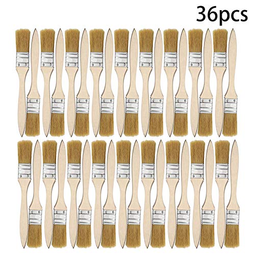 36 Pack of 1 Inch (24mm) Paint Brushes - Professional Chip Brushes for Oil, Water Based Paints, Stains, Varnishes, Glues & Gesso - Perfect for Artists, DIY Home Projects & Crafting