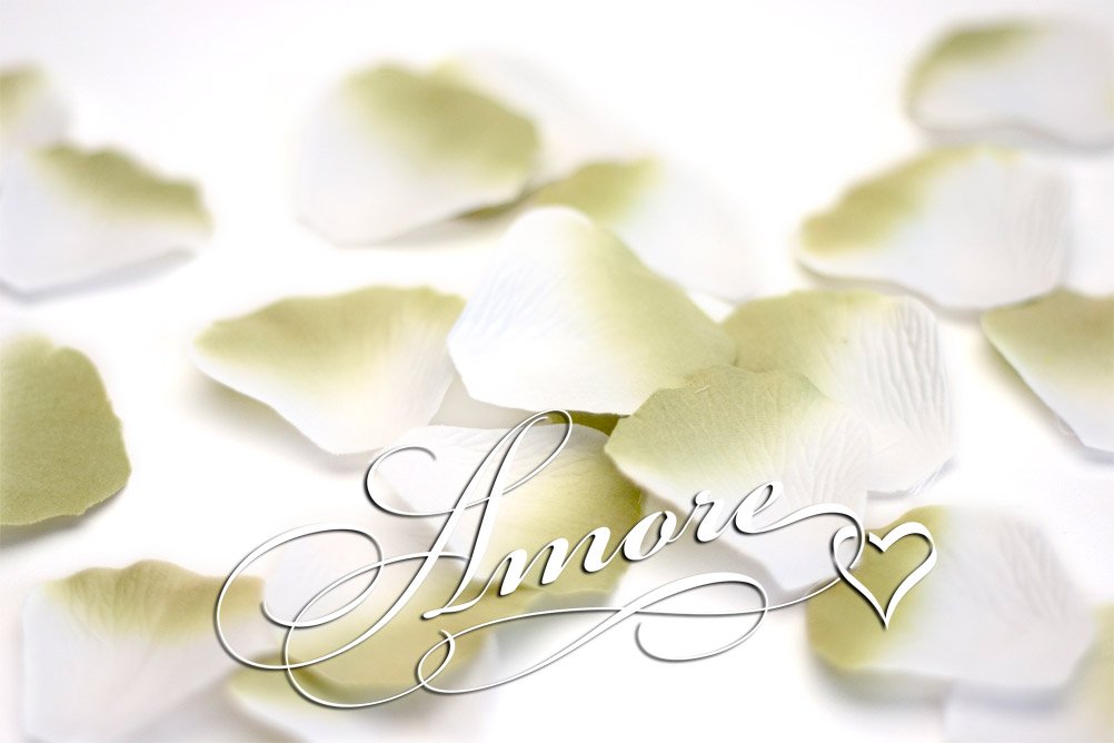 1000 Silk Rose Petals for Weddings - 2 Inch Wide Sage Green & White Artificial Flower Petals - Perfect for Wedding Decor, Aisle Scattering, Table Centerpieces, and Romantic Events