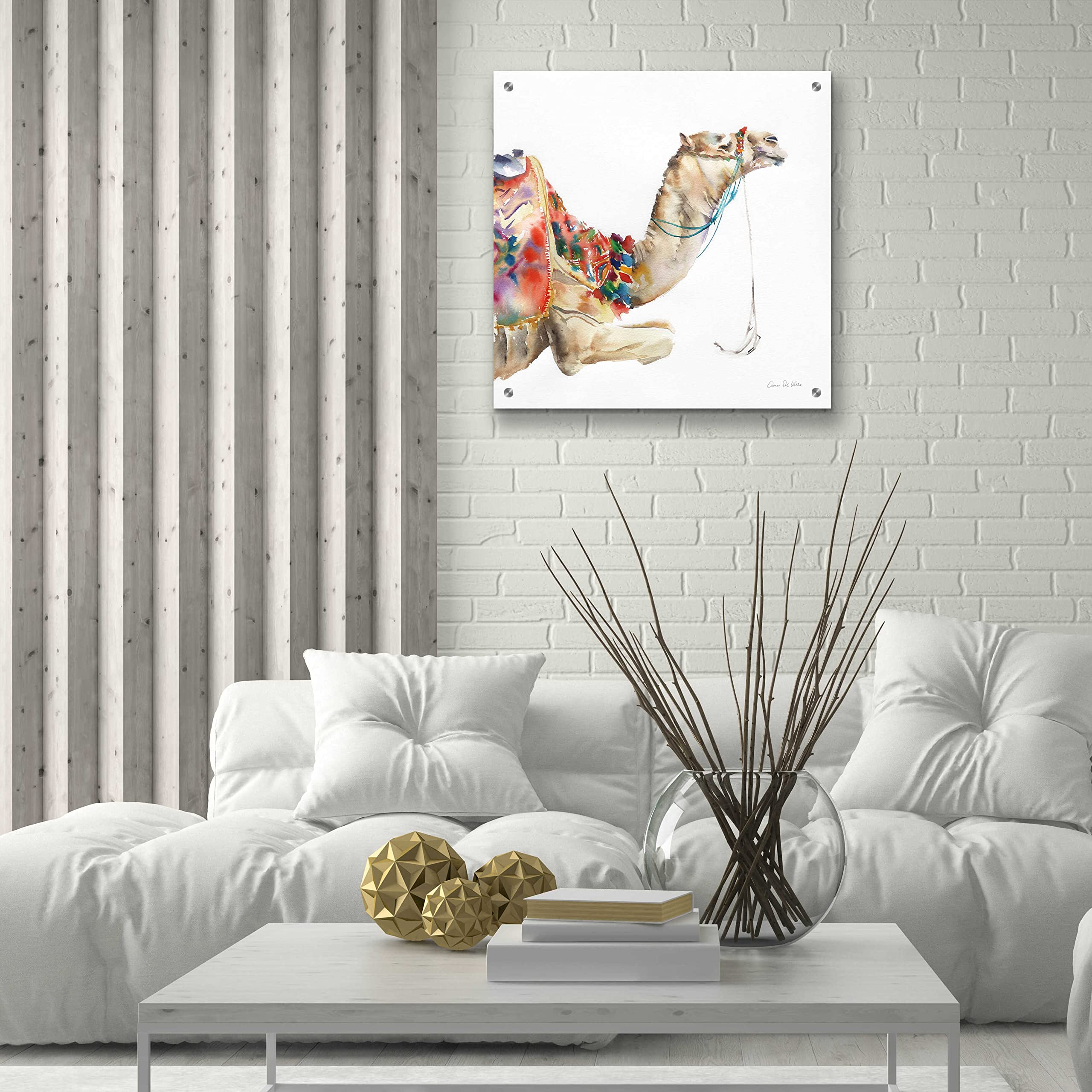 Desert Camel I Acrylic Glass Wall Art by Alan Majchrowicz - 24x24 Inches Modern Home Decor for Living Room, Bedroom & Office