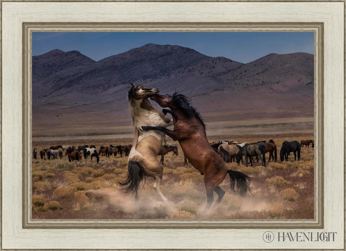Desert Duel by Greg Sargent - Western Novel, Adventure & Action Book - Perfect for Fans of Cowboy Stories and Wild West Tales | Great for Reading on Road Trips, Camping & Relaxation