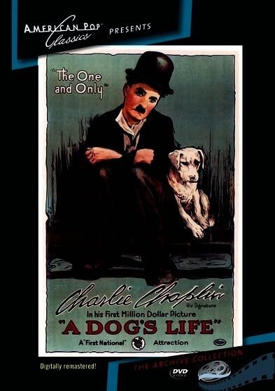 A Dog's Life - Premium Pet Supplies for Happy & Healthy Dogs | Best for Grooming, Training & Playtime