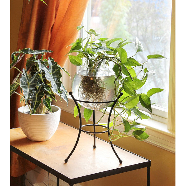 Achla Designs Multi-Purpose Stand for GBS 20 & GBS 21 - Perfect for Office, Home, and Studio Use