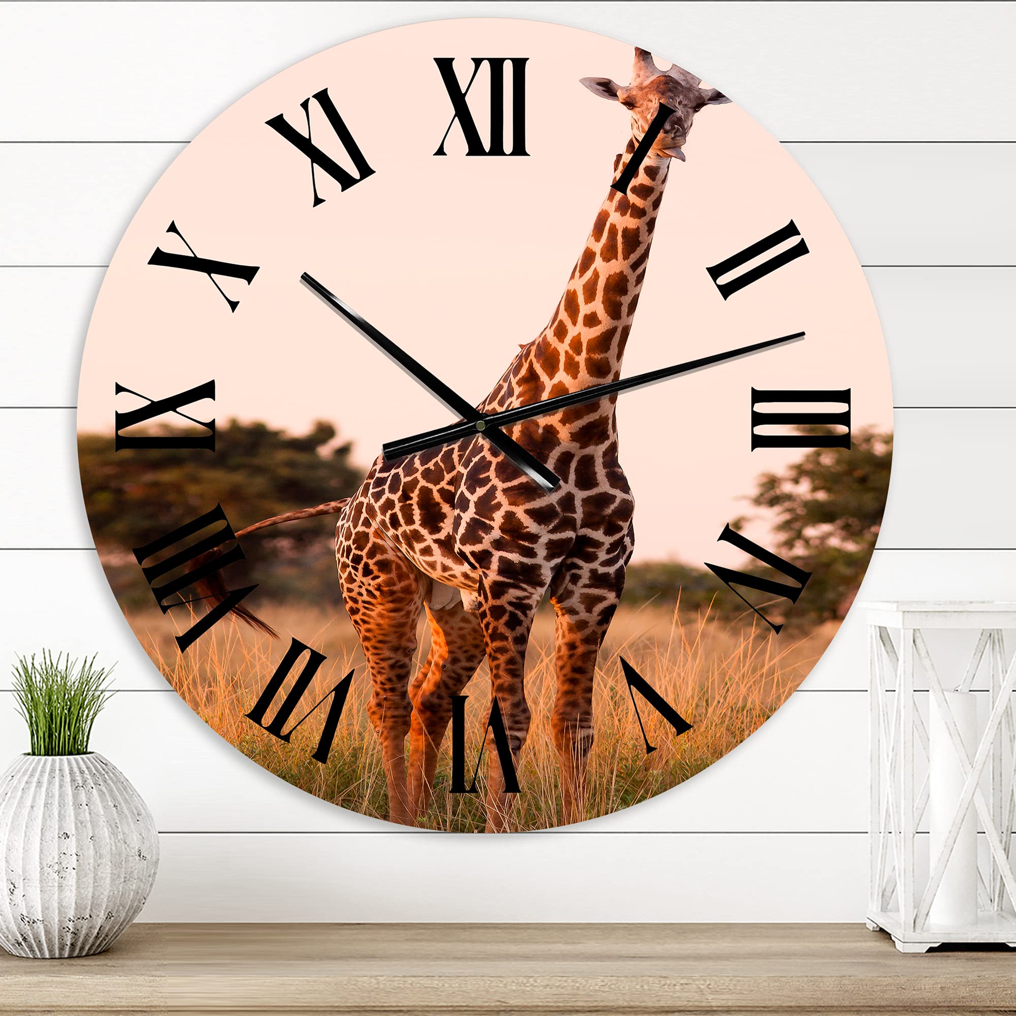 DesignQ Farmhouse Wall Clock - African Giraffe in The Wild I - Large Animal Wall Clock for Kitchen, Living Room, Bedroom Decor - Perfect for Rustic Home, Office & Gift Giving