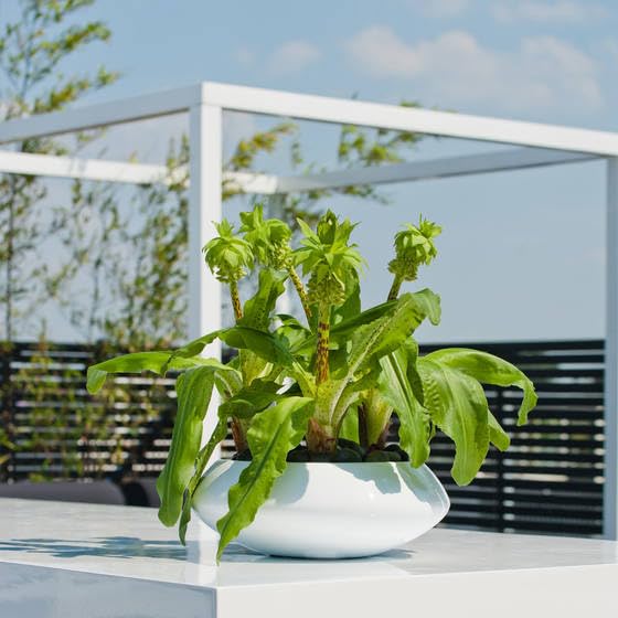 Modern White Fiberstone Round Planter Bowl - 6