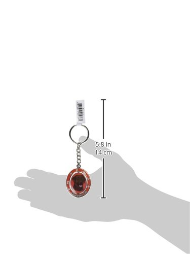 E&S Pets Chocolate Lab Double Sided Spinning Keychain - KC-22 | Durable Dog Lover Gift for Car Keys, Backpacks & Pet Accessories