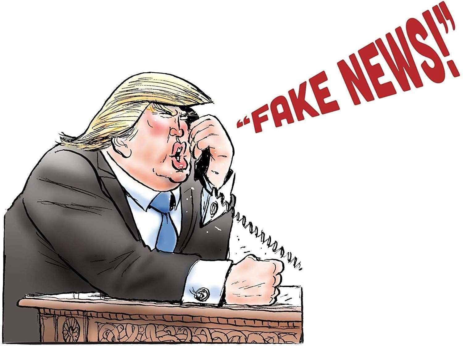 TDC Games Fake News or Real Trump Quotes? - Fun Adult Party Game for Trump Supporters & Political Enthusiasts - Perfect for Game Nights, Political Debates & Social Gatherings