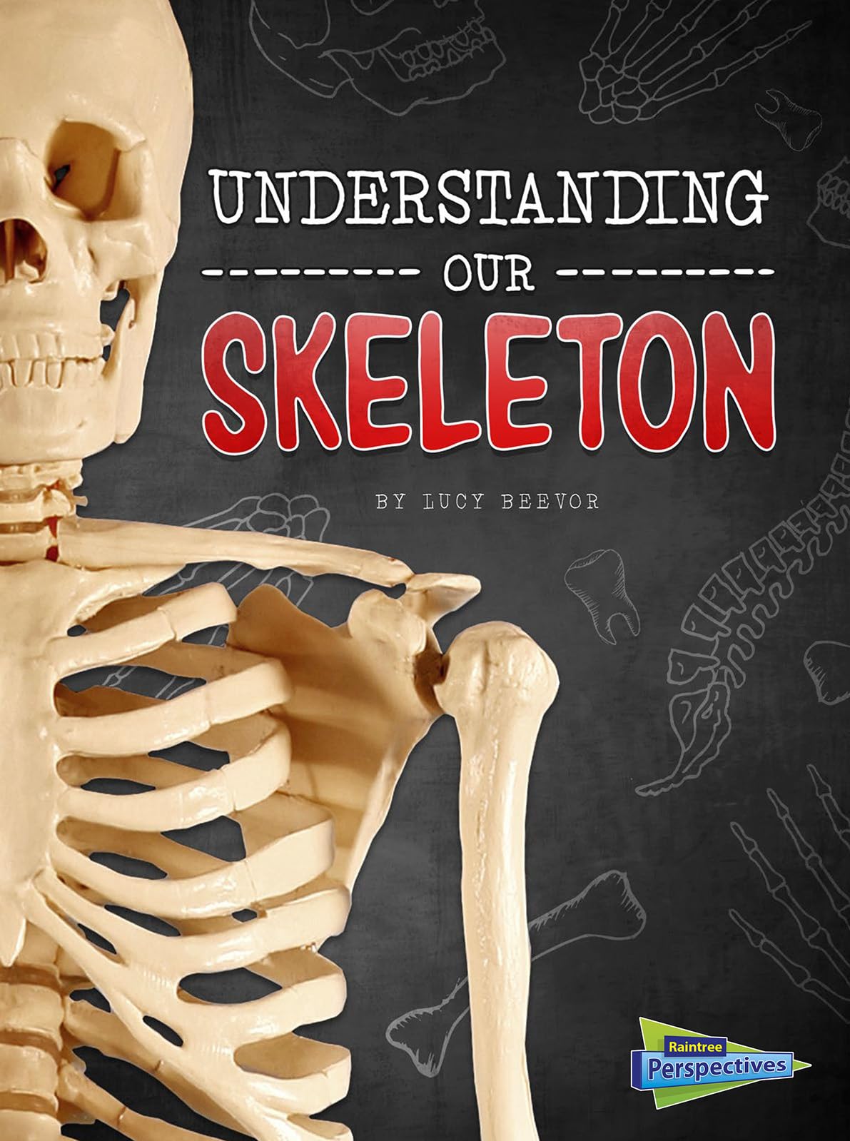 Understanding Our Skeleton - Human Anatomy Book for Kids | Raintree Perspectives: Brains, Body, Bones | Perfect for Science Class & Homeschool Learning