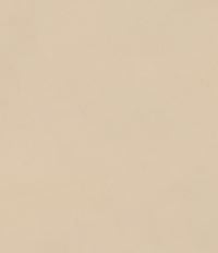 Alex Boys Flat Front Shorts - Khaki Cotton Poplin Casual Pants for Summer, School & Outdoor Activities
