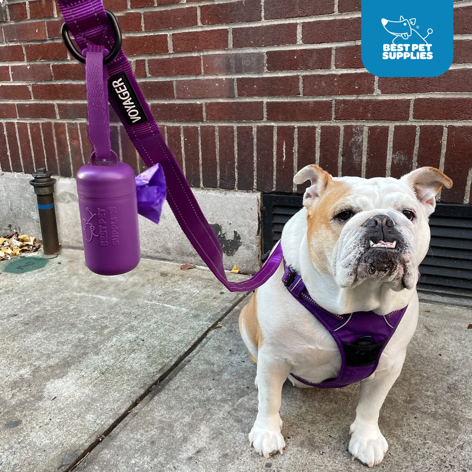 Premium Dog Poop Bag Holder with 30 Bags - Clip-On Leash Attachment for Walking, Hiking & Travel - Durable Reusable Dispenser for Park, Outdoor & Daily Use - Convenient Pack of 2 (Black) - Perfect for Pet Owners On-The-Go