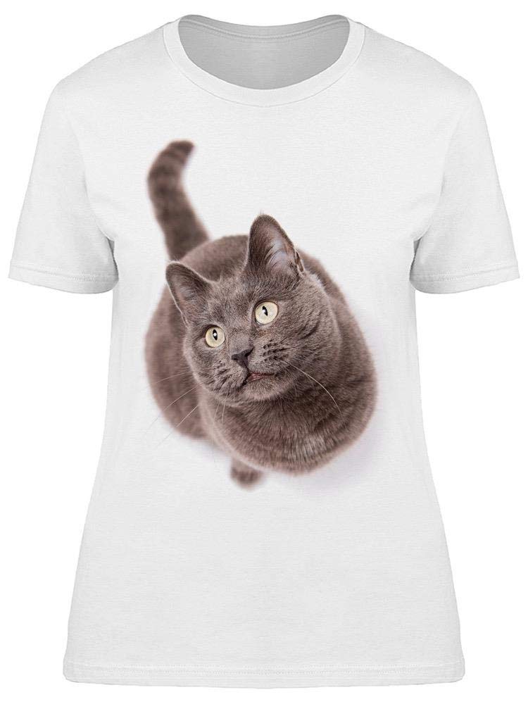 Stylish Grey Cat Print T-Shirt for Women | Cute Feline Graphic Tee | Casual & Trendy Outfit for Cat Lovers | Perfect for Daily Wear, Outings & Gifts