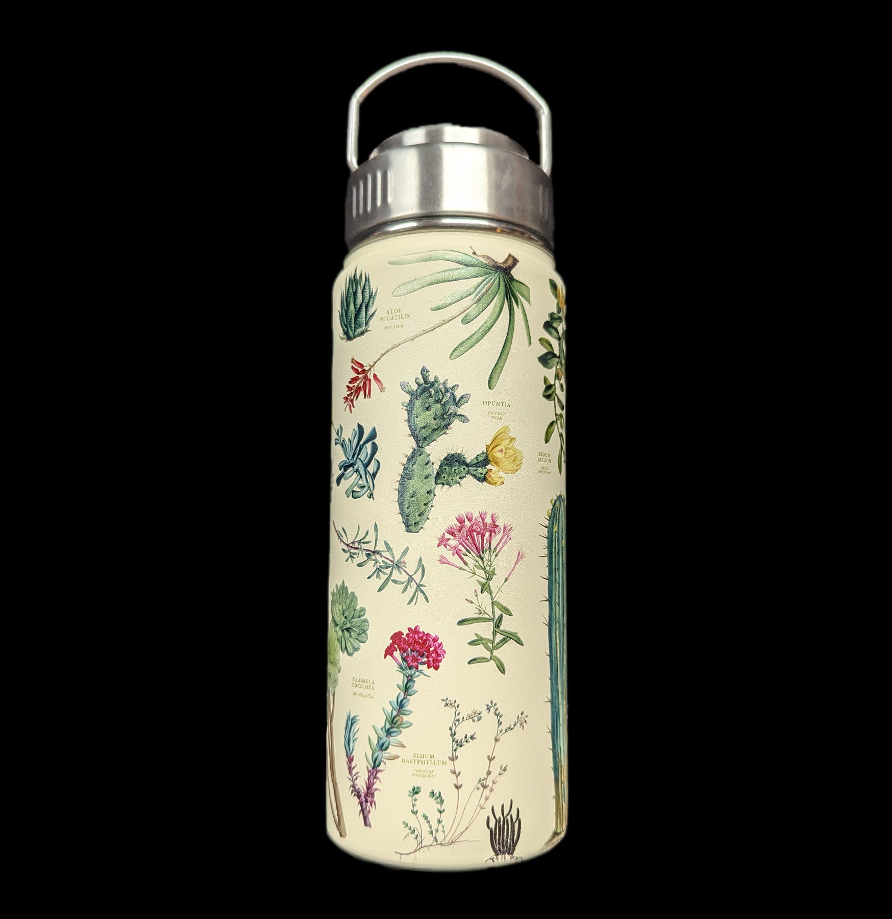 Stainless Steel Vacuum Insulated Succulent Plant Watering Flask - Perfect for Home, Office, and Garden Plant Care