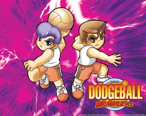 Super Dodgeball Brawlers - Nintendo DS (Renewed) | Classic Sports Action Game | Perfect for Travel & Family Game Nights