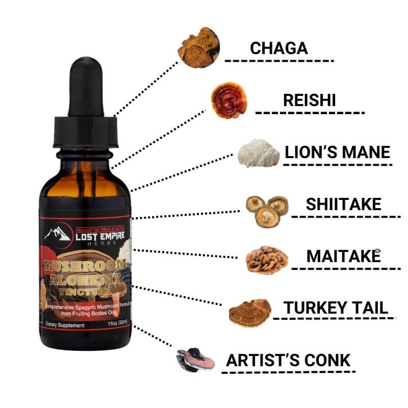 Premium 7 Medicinal Mushroom Tincture Blend - Reishi, Turkey Tail, Maitake, Shiitake, Lion's Mane, Artist Conk & Chaga (1 fl oz) | Organic Immune Support & Cognitive Boost | Perfect for Daily Wellness, Stress Relief & Natural Energy