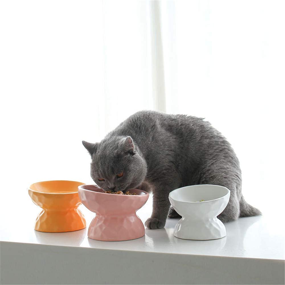 Elevated Cat Food Bowls for Indoor Cats - Ceramic Tilted Raised Cat Dish with Non-Slip Base | Promotes Healthy Digestion & Spine Support | Easy Clean Pet Feeding Bowl for Wet/Dry Food & Water - Perfect for Kittens, Adult & Senior Cats