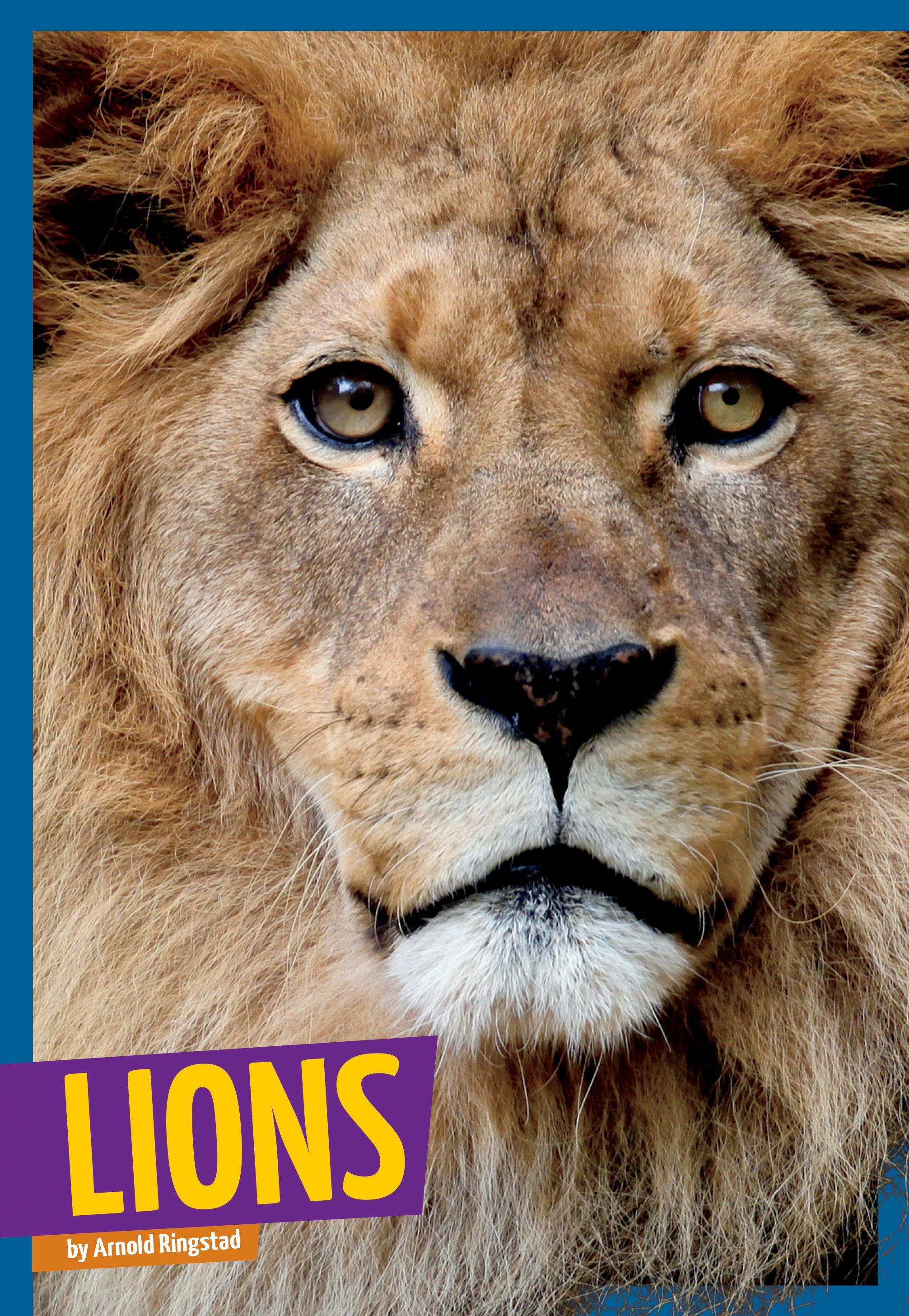 Lions & Wild Cats - Realistic Stuffed Animals & Plush Toys for Kids, Home Decor, and Safari-Themed Parties | Perfect for Gifts, Nursery Decor, and Animal Lovers